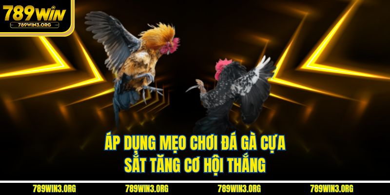 Áp dụng mẹo chơi đá gà cựa sắt tăng cơ hội thắng