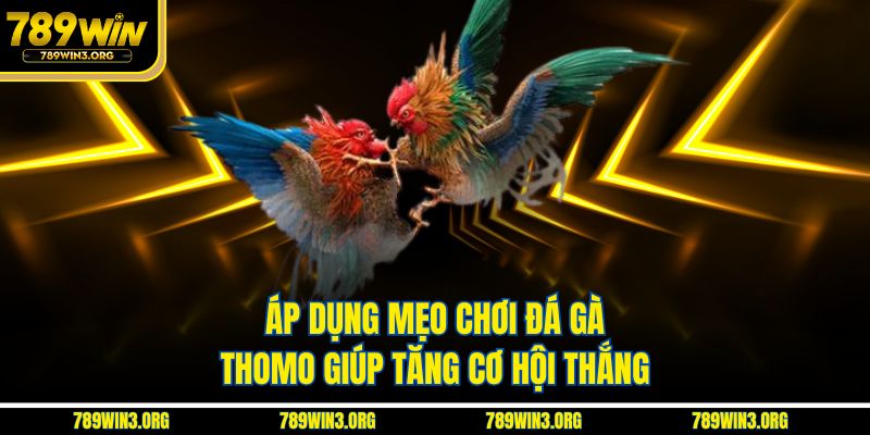 Áp dụng mẹo chơi đá gà Thomo giúp tăng cơ hội thắng