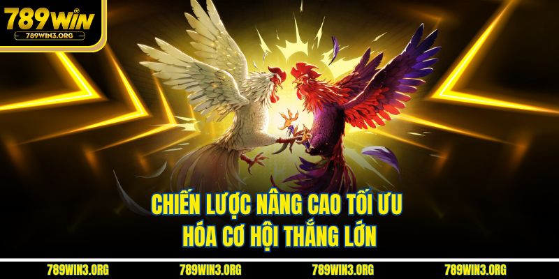 Chiến lược nâng cao tối ưu hóa cơ hội thắng lớn
