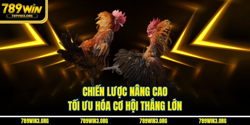 Chiến lược nâng cao tối ưu hóa cơ hội thắng lớn