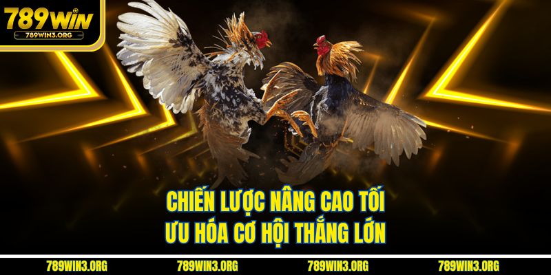 Chiến lược nâng cao tối ưu hóa cơ hội thắng lớn