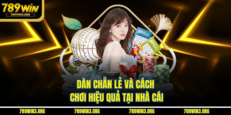 Dàn chẵn lẻ và cách chơi hiệu quả tại nhà cái