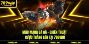 Màu Mạng Đá Gà - Chiến Thuật Cược Thắng Lớn Tại 789Win