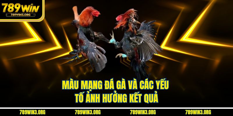 Màu mạng đá gà và các yếu tố ảnh hưởng kết quả